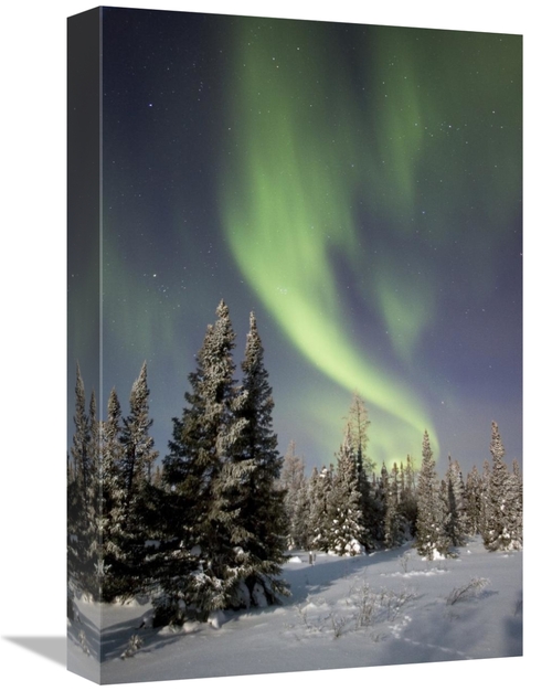 Global Gallery GCS-395412-1218-142 12 x 18 in. Northern Lights Over Bo