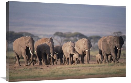 Global Gallery GCS-452791-2436-142 24 x 36 in. African Elephant Herd W