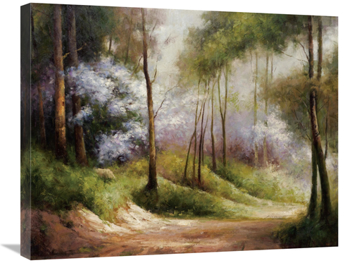 Global Gallery GCS-132487-2228-142 22 x 28 in. Fog Embraced Forest Art