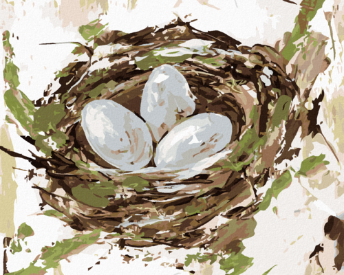 Paint by Numbers - NEST WITH EGGS (HALEY BUSH)