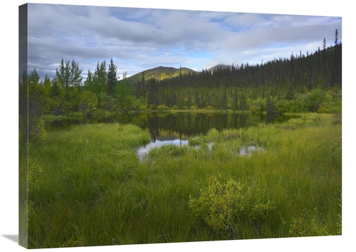 Global Gallery GCS-397181-2432-142 24 x 32 in. Boreal Forest with Pond