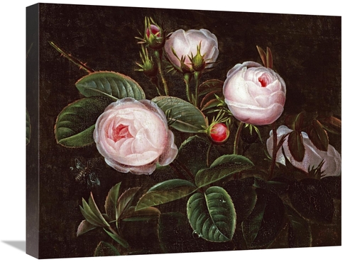 Global Gallery GCS-268166-22-142 22 in. Pink Roses Art Print - Johan L