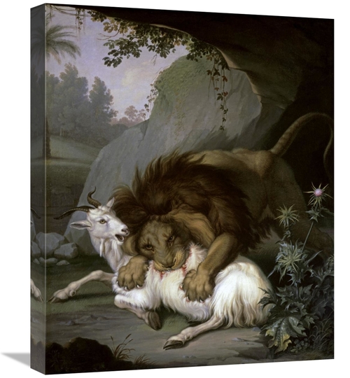 Global Gallery GCS-282661-22-142 22 in. A Lion Attacking a Goat Art Pr