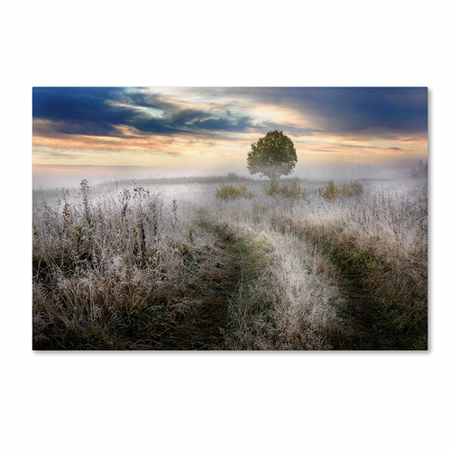 Trademark 1X00531-C1219GG 12 x 19 in. Frosty Morning Canvas Art - Kiri