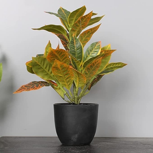 Croton Artificial Croton Petra for Desk top,Bathroom,Living Rooms and