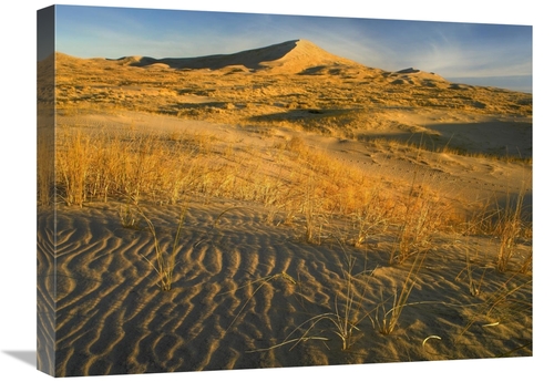 Global Gallery GCS-396577-1824-142 18 x 24 in. Kelso Dunes & Grasses&#