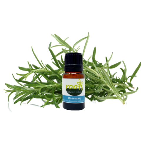 Rosemary Essential Oil 10 ml