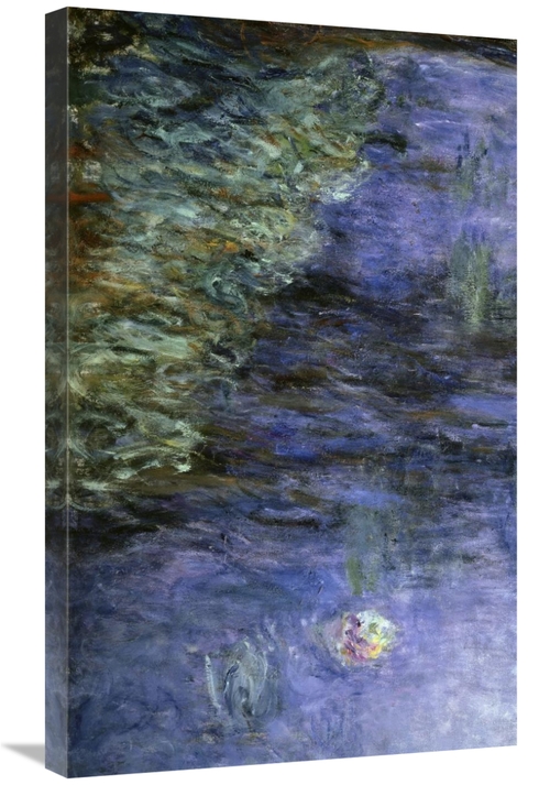 Global Gallery GCS-278729-30-142 30 in. Water Lilies - Detail Art Prin