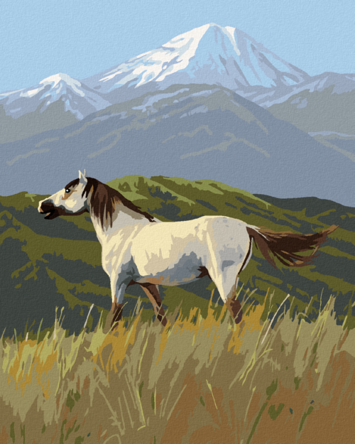 Zuty - Paint by Numbers â€“ WILD HORSE MUSTANG AND MOUNTAINS (JAMES