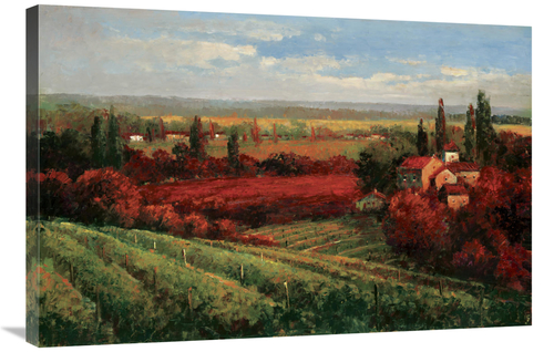 Global Gallery GCS-131029-2436-142 24 x 36 in. Tuscan Fields of Red Ar