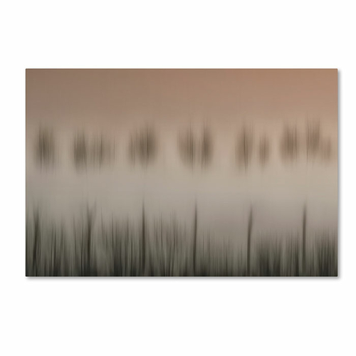 Trademark 1X01268-C1624GG 16 x 24 in. The Magic of A Foggy Morning Can