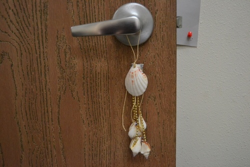 White Irish Deep Seashell Hanger