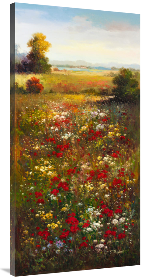 Global Gallery GCS-39431-2448-142 24 x 48 in. Wildflower Meadow II Art