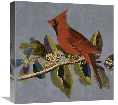 Global Gallery GCS-394159-1818-142 18 x 18 in. Audubon Decor - Male Ca