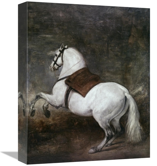 Global Gallery GCS-281402-16-142 16 in. A White Horse Art Print - Dieg