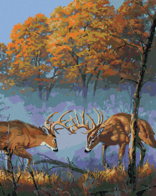Zuty - Paint by Numbers - DEER FIGHT (DARRELL BUSH), 40x50 cm