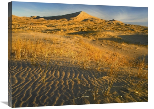 Global Gallery GCS-396577-2432-142 24 x 32 in. Kelso Dunes & Grasses&#