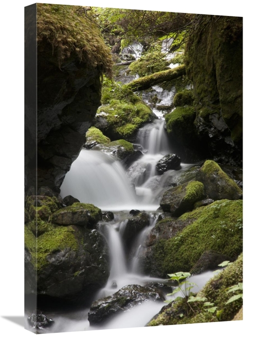 Global Gallery GCS-395439-1624-142 16 x 24 in. Cascading Creek in Temp
