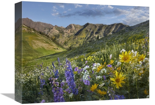 Global Gallery GCS-396499-1216-142 12 x 16 in. Larkspur & Sunflowers&#