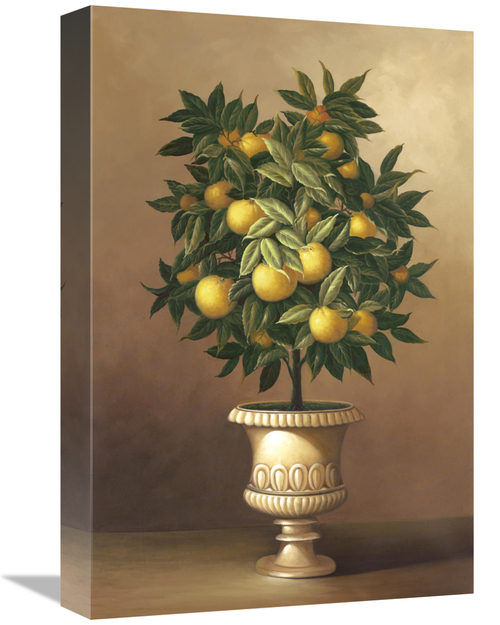Global Gallery GCS-127134-1218-142 12 x 18 in. Potted Orange Tree Art 