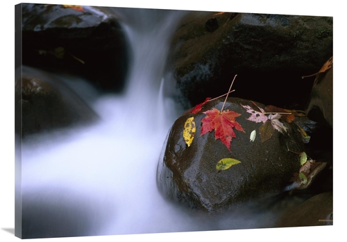 Global Gallery GCS-452054-3040-142 30 x 40 in. Little Pigeon River & F