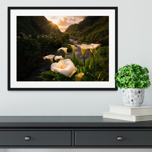 Calla Lily World Framed Print