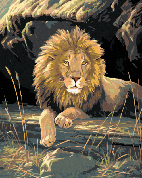 Zuty - Paint by Numbers â€“ RESTING LION (JAMES HAUTMAN), 40x50 cm