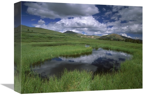 Global Gallery GCS-397046-1216-142 12 x 16 in. Cumulus Clouds Reflecte