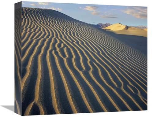 Global Gallery GCS-396657-16-142 16 in. Mesquite Flat Sand Dunes, 