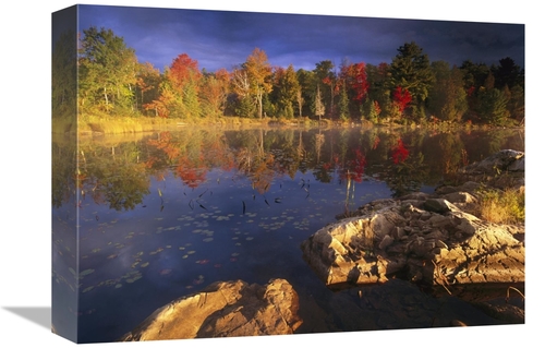 Global Gallery GCS-452020-1216-142 12 x 16 in. Lang Lake, Fall Col