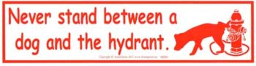 Never Stand Between a Dog and the Hydrant bumper sticker