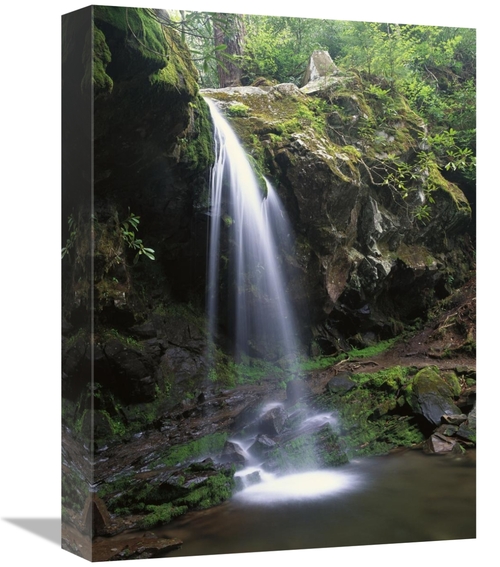 Global Gallery GCS-452030-1216-142 12 x 16 in. Grotto Falls & Roaring 