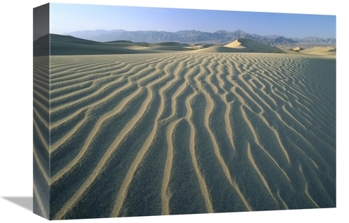 Global Gallery GCS-396650-1216-142 12 x 16 in. Mesquite Flat Sand Dune