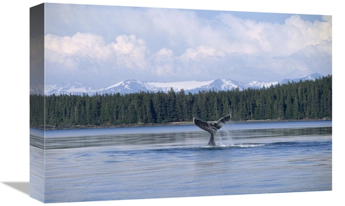Global Gallery GCS-450805-1218-142 12 x 18 in. Humpback Whale Tail,