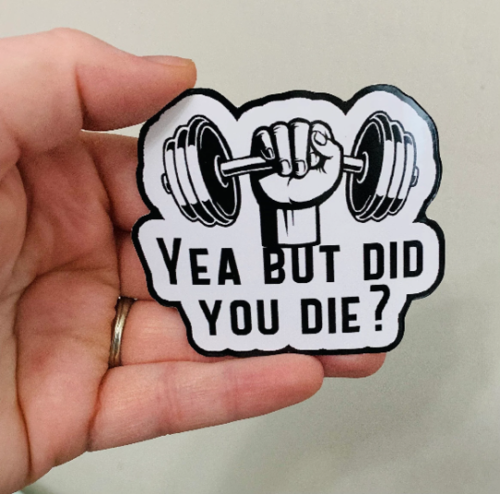 Did You Die Sticker/Magnet