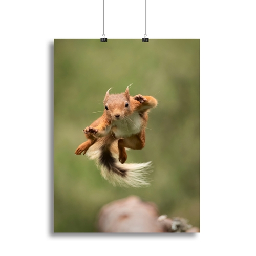 Ninja dancing Canvas Print or Poster