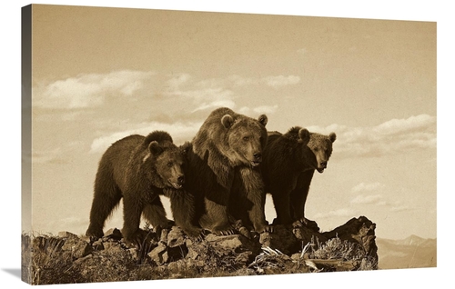 Global Gallery GCS-453689-2436-142 24 x 36 in. Grizzly Bear with Two O