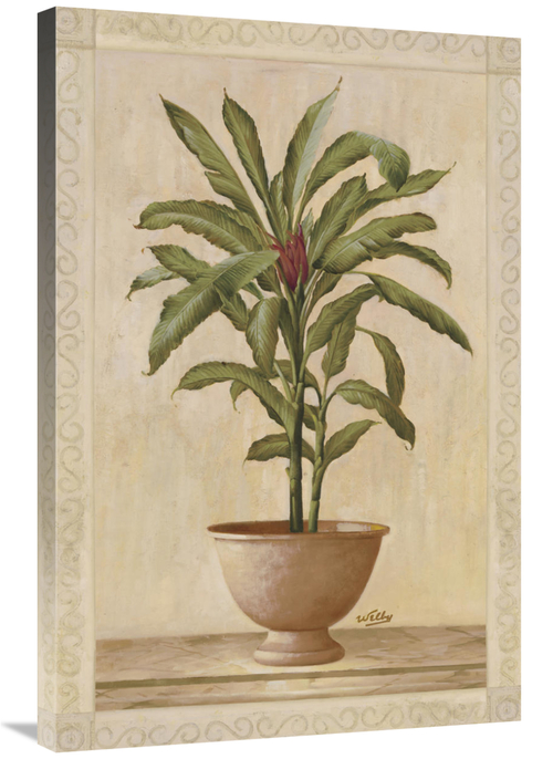 Global Gallery GCS-121180-2436-142 24 x 36 in. Potted Palm I Art Print