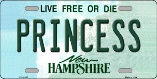 Smart Blonde LP-11165 6 x 12 in. Princess New Hampshire Novelty Metal 