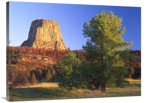 Global Gallery GCS-397162-3040-142 30 x 40 in. Devils Tower National M