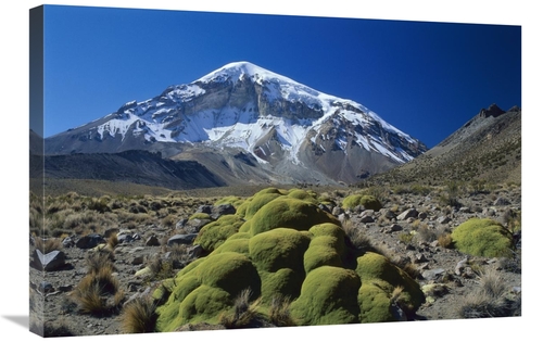 Global Gallery GCS-453526-2030-142 20 x 30 in. Cushion Plant & Nevado 