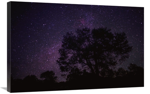 Global Gallery GCS-396047-2436-142 24 x 36 in. Starry Sky with Silhoue