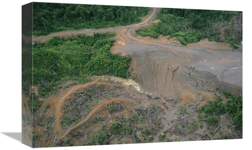 Global Gallery GCS-395781-1218-142 12 x 18 in. Rainforest Logging Acti