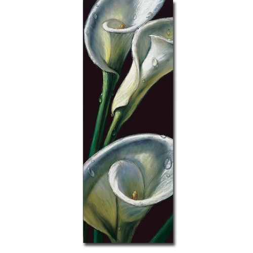 Artistic Home Gallery 12245636TG Dewdrop Callas by Almach Premium Gall