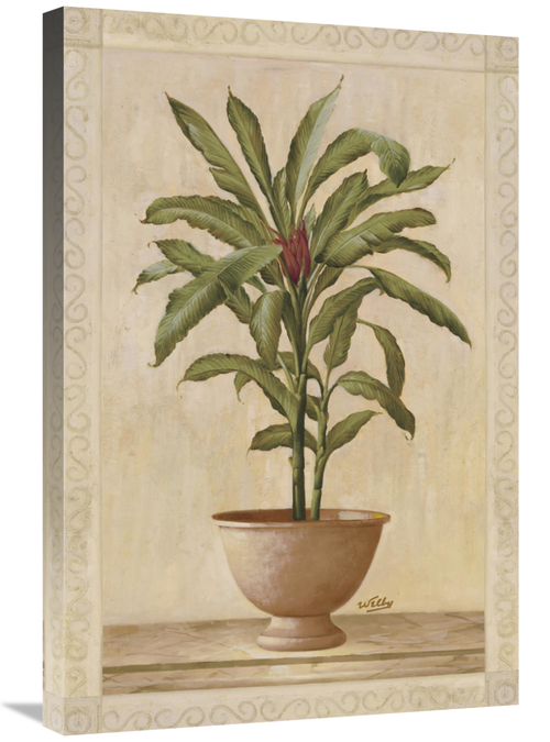 Global Gallery GCS-121180-2030-142 20 x 30 in. Potted Palm I Art Print