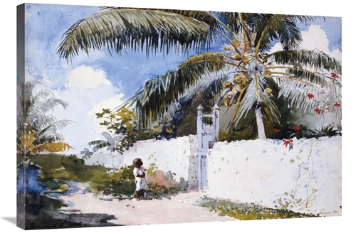 Global Gallery GCS-268131-36-142 36 in. A Garden in Nassau Art Print -
