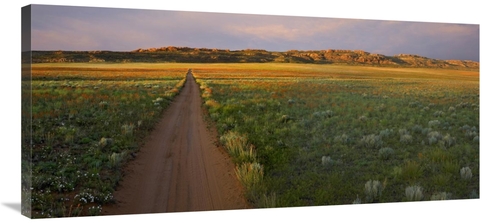 Global Gallery GCS-396711-40-142 40 in. Dirt Road & Globemallows Salt 