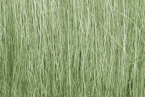 Woodland Scenics WOO173 Field Grass Light Green
