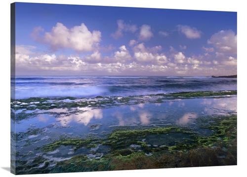 Global Gallery GCS-396336-3040-142 30 x 40 in. Tidepools & Waves at Ho