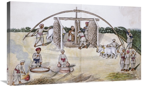 Global Gallery GCS-268207-36-142 36 in. Sugar Cane Pressing Art Print 